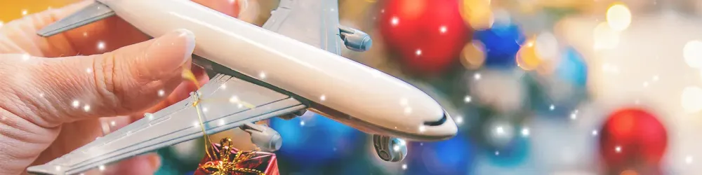 Person holding toy airplane